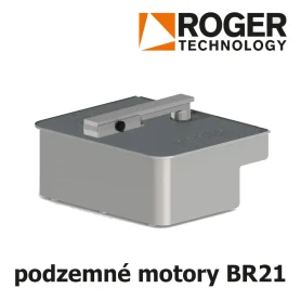 Pohon BR21